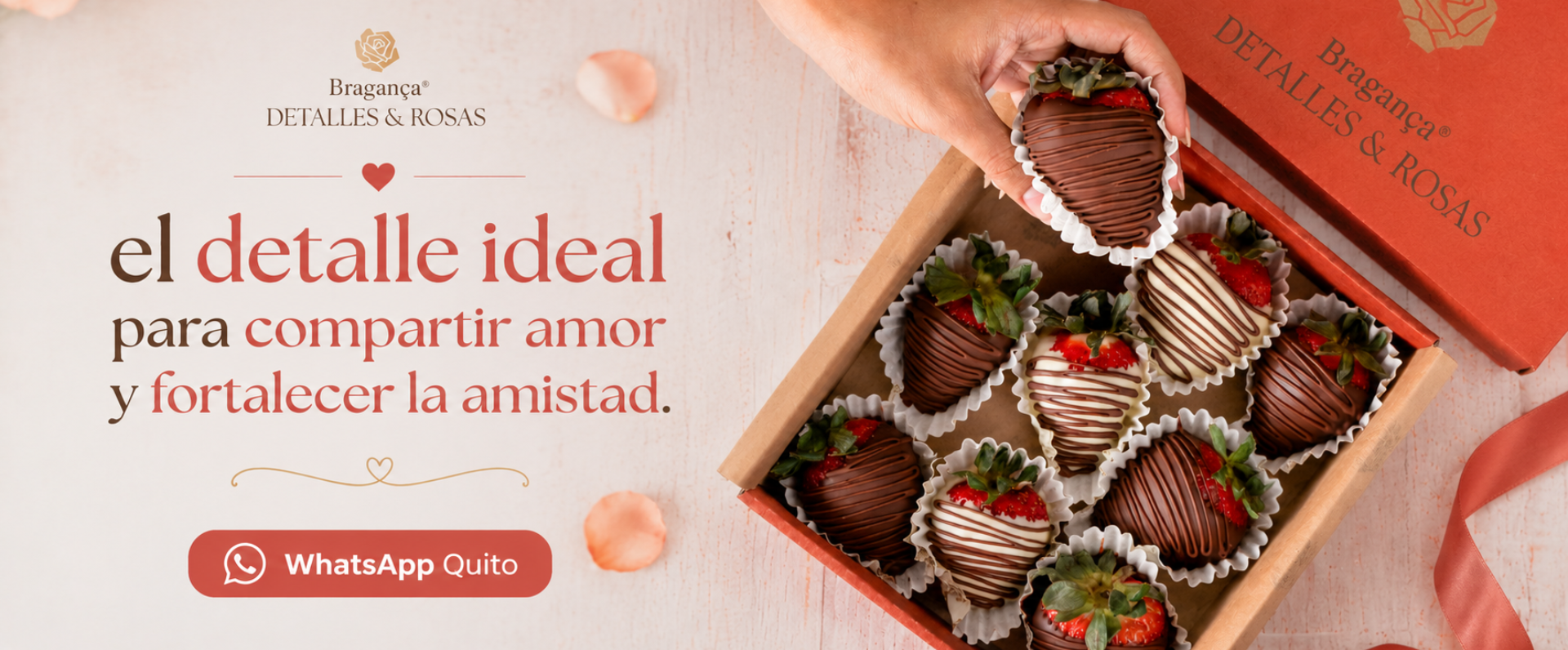 whatsApp Quito
